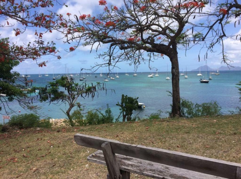 Holidays In Martinique - Ravenala Sainte-Anne Buitenkant foto