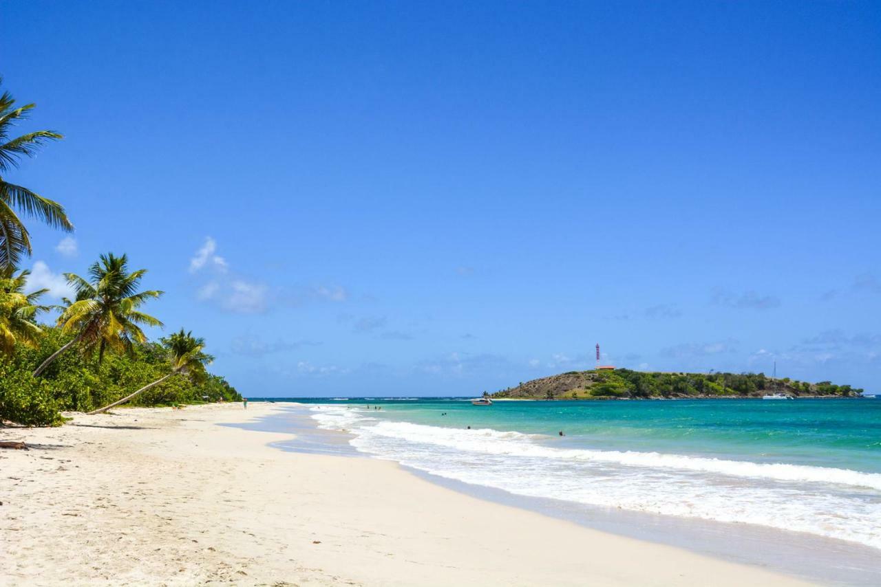 Holidays In Martinique - Ravenala Sainte-Anne Buitenkant foto